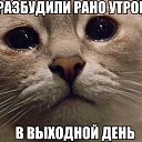 ���� �����, ��������, 50 ��� - ��������� 16 �������� 2014 � ������ ���� ����������