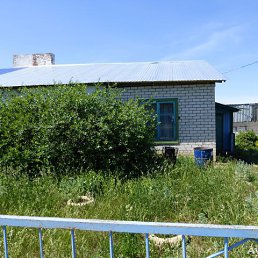 ���� ��������, �����������, 65 ��� - ��������� 1 ������� 2014