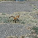 � ������ ����������� ����� ������. �� ������� ���� ����������