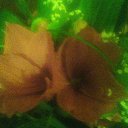 ���� Katerina, �����-���������, 28 ��� - ��������� 27 ������� 2014 � ������ ������ ��������