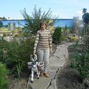 ���� ������, ����������, 56 ��� - ��������� 27 �������� 2014 � ������ �������