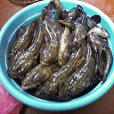 ���� �������, ��������� - ��������� 10 ������ 2014 � ������ ���� ����������