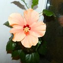 ���� �������, ������ - ��������� 24 �������� 2014 � ������ ���� ����������