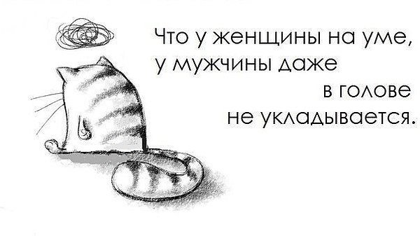 Evgeni - 17 �������� 2014 � 19:54