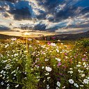 ���� �������, ����������� - ��������� 16 �������� 2014 � ������ ���� ����������