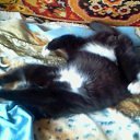  Elenka))) 220,  -  11  2014    -  .