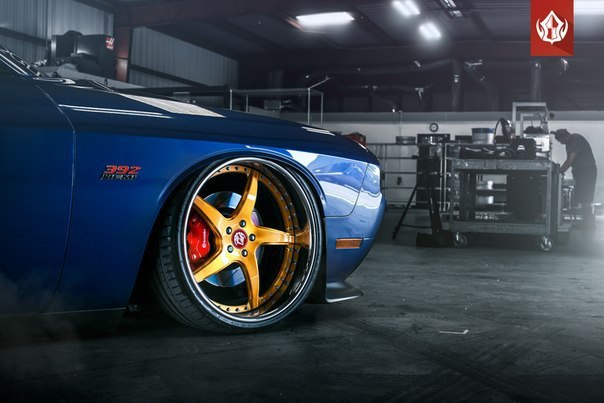 Dodge Challenger 392 HEMI on Vip Modular Wheels - 3