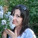 ���� �������, ��������, 43 ���� - ��������� 17 ������� 2014 � ������ ���� ����������