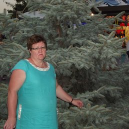 ���� ������, ��������, 56 ��� - ��������� 3 ������ 2014