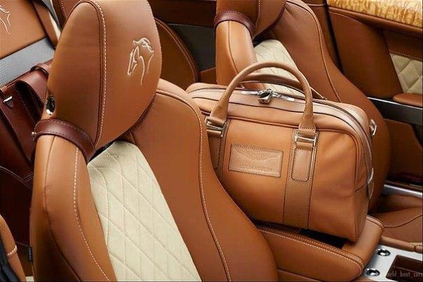 2015 Aston Martin DB9 Volante Equestrian Edition - 5