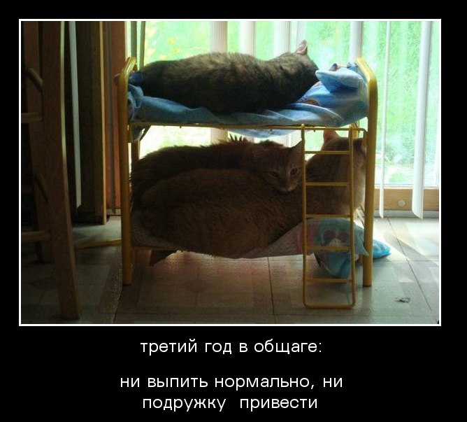 �������������� �� ���: <a href=