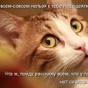 ���� O.l., �����, 59 ��� - ��������� 7 ������� 2014 � ������ �������