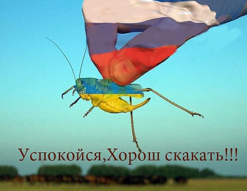  - 19  2014  16:12
