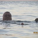 ����� ������ 2014