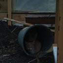 ���� ��������, �������, 64 ���� - ��������� 10 ������� 2014 � ������ ������ ��������