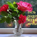 ���� ���������, ���������� - ��������� 25 ������ 2014 � ������ ������ ��������