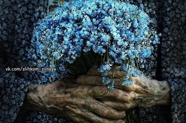 Боже , сделай так чтобы сердце каждой бабушки билось вечно.