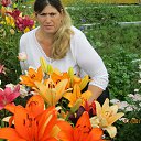 ���� �����, �����������, 66 ��� - ��������� 22 �������� 2014 � ������ ���� ����������