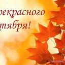 ���� �������, ����, 78 ��� - ��������� 4 ������� 2014 � ������ ������ ��������