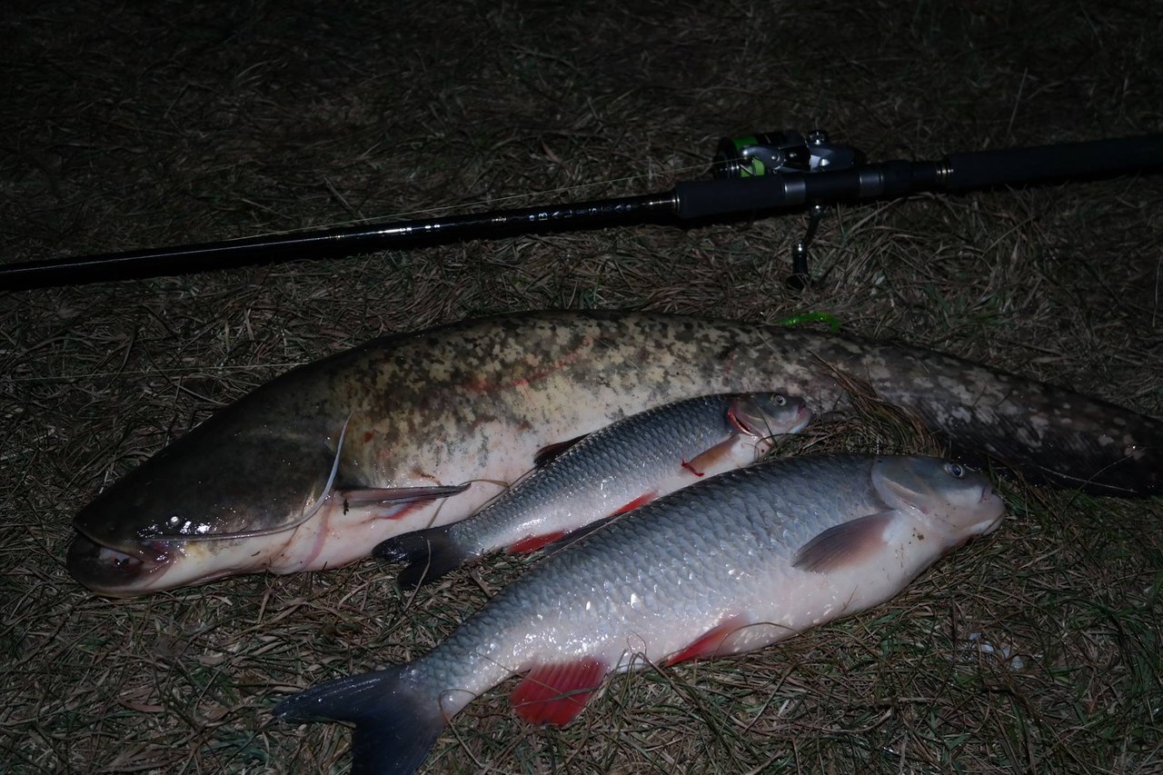 ����� ������� - 13 ������ 2014 � 22:49 - 3