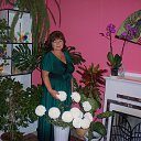 ���� Ana, ����������� - ��������� 12 ������� 2014 � ������ ���� ����������