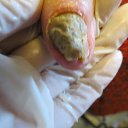 ���� ����� �������, �������, 49 ��� - ��������� 12 ������ 2014 � ������ ���� ������