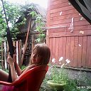 ���� ������, ������, 67 ��� - ��������� 31 ������� 2014 � ������ ���� ����������