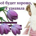 ���� ���, ������ - ��������� 31 ������� 2014 � ������ ������ ��������
