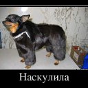 ���� ������, �������, 56 ��� - ��������� 25 ������� 2014 � ������ ���� ����������