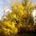 ���� ������, �������� - ��������� 1 ������� 2014 � ������ ����������� ���� 14�