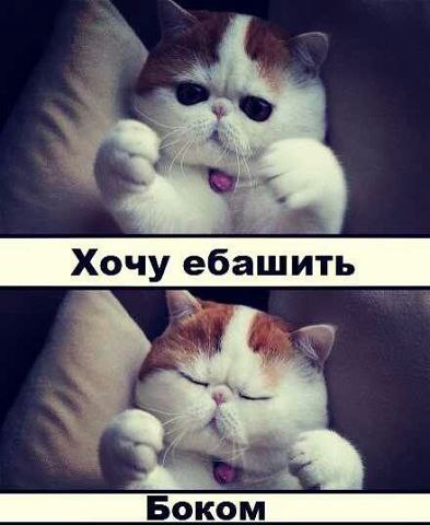 � ����� �� ���� )))))