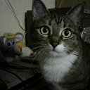 ���� ������, ����������, 57 ��� - ��������� 17 ������� 2014 � ������ ���� ����������