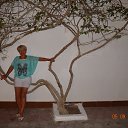 ������ 2014 �� ������� ���� ���� ߻