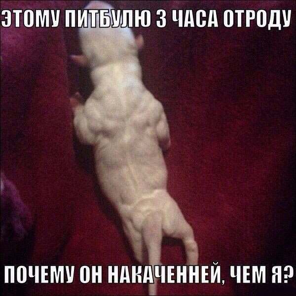 100 ���� - �����������, ����������, �������. - 20 ������� 2014 � 17:49