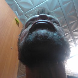 , 53 , 