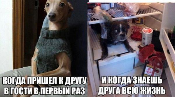������� ��������� - 24 �������� 2014 � 13:38