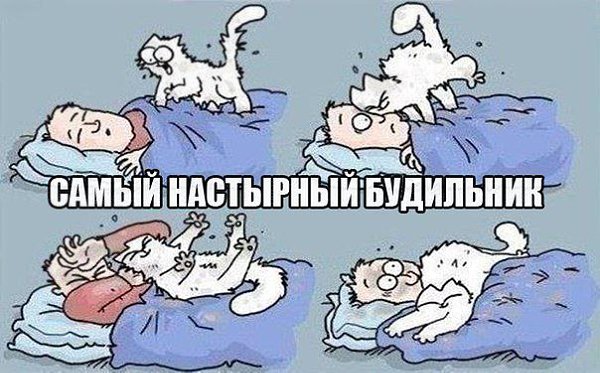  - 26  2014  13:41