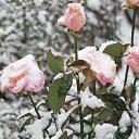 ���� ������, �������, 41 ��� - ��������� 18 ������� 2014 � ������ �������