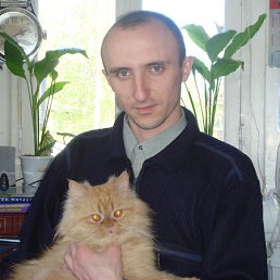 ��������, ������-��-����, 45 ���