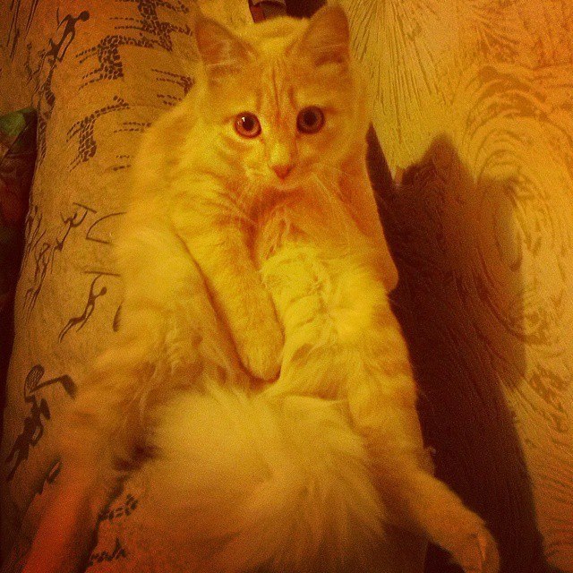      =) ,         . ... - 2