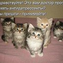 ���� ������, ������ - ��������� 19 �������� 2014 � ������ ������ ��������