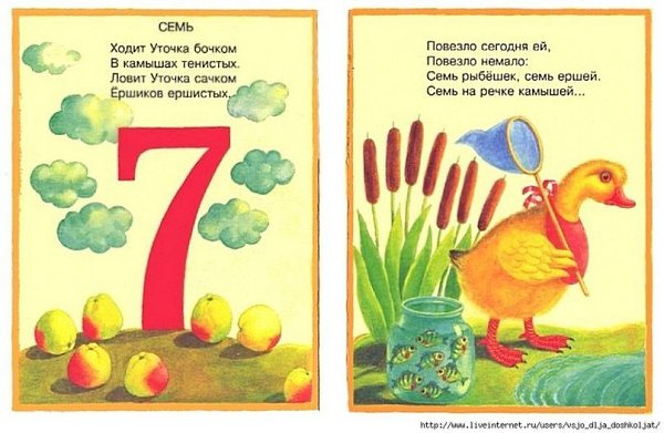    - 7
