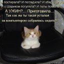 ���� Simma, ������, 57 ��� - ��������� 24 ������� 2014 � ������ ������ ��������