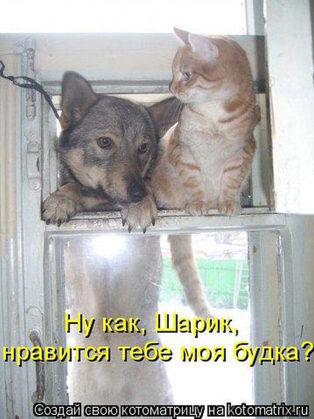 �������������� �� ���: <a href=