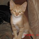 ���� ������, ����� - ��������� 27 ������� 2014 � ������ �������