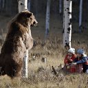 ���� �����&copy;, ������, 48 ��� - ��������� 18 ������ 2014 � ������ ������ ��������