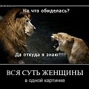 ���� ������, ������� - ��������� 2 ������� 2014 � ������ ������ ��������
