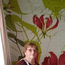 ���� ����, �����������, 81 ��� - ��������� 23 ������� 2014 � ������ ���� ����������