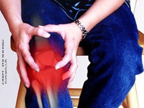 Больше полезный статей > #SPORT_здоровье@sports_is_life.Лечебные мази с пчелиным ядом для лечения ...