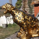 ���� ����� ������, ���, 68 ��� - ��������� 3 ������ 2014 � ������ ���� ����������